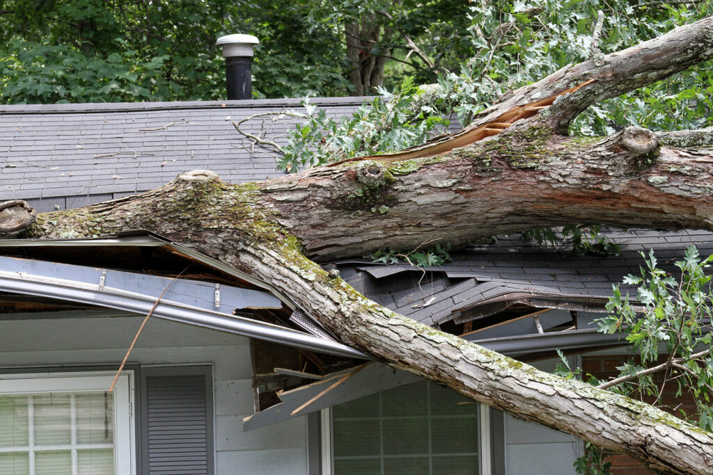 roof and storm damage