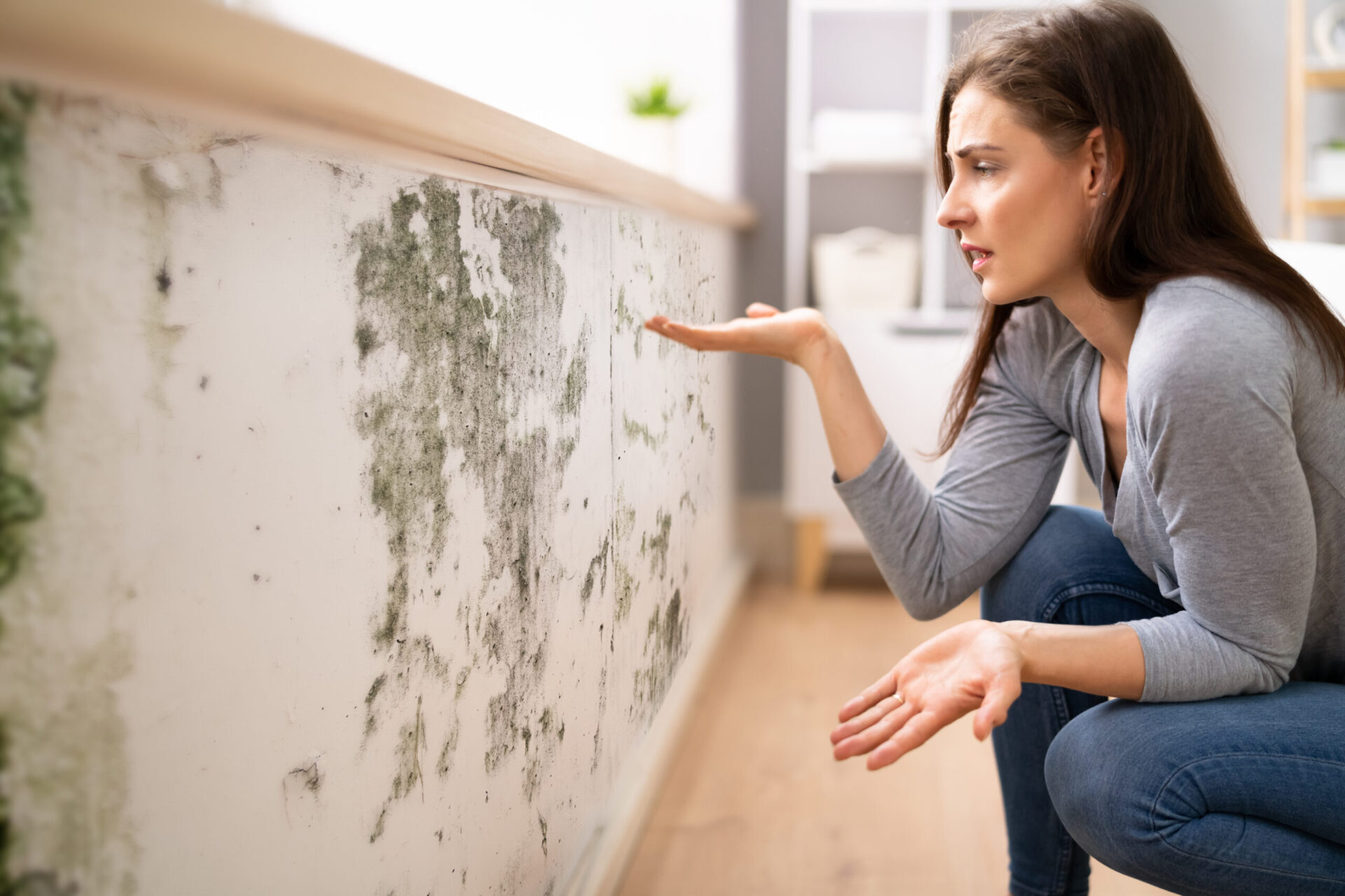 Homeowner inspecting visible mold growth on an interior wall before professional mold removal