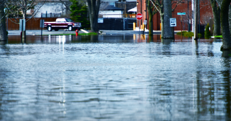 Flooded residential street with standing water surrounding trees, vehicles, and traffic signs