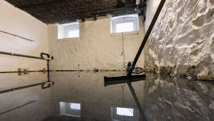 sewage-damage-basement-water-with-mold-wall-puller