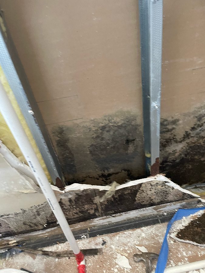 Mold growing behind removed drywall on a CONSTRUCTEAM job
